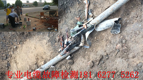 草莓短视频下载点找到.jpg