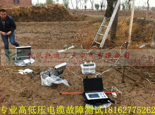 全套草莓短视频下载测试现场.jpg