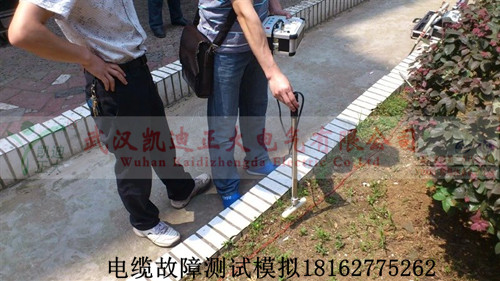 草莓短视频下载测试现场_副本.jpg