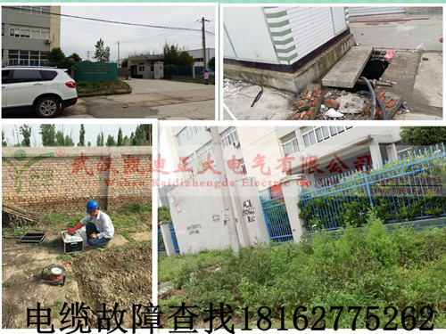 高压草莓短视频下载检测.jpg