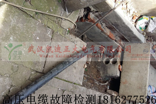 高压草莓短视频下载检测.jpg