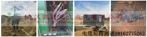 草莓短视频下载测试组图.png
