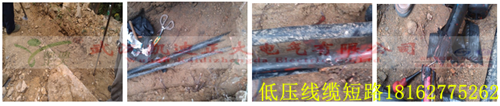 湖北大学校园草莓短视频下载检测.png