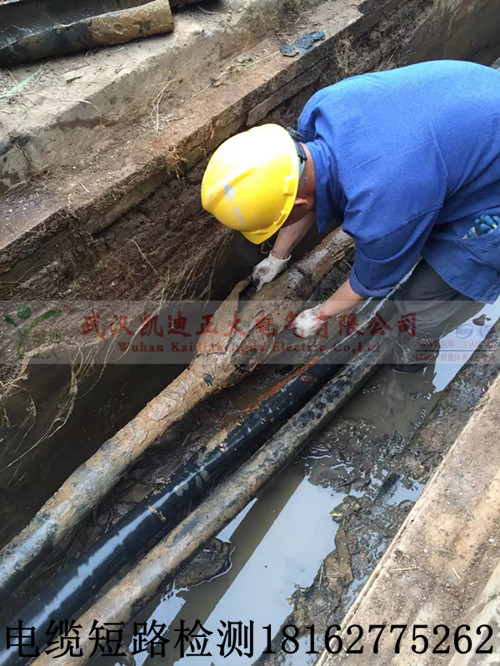 草莓短视频下载测试.jpg