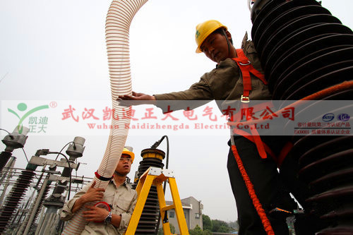 草莓短视频下载测试仪