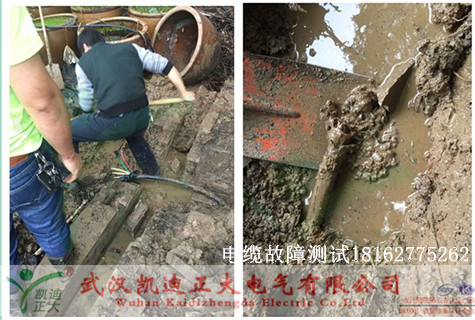 1479885254483094.jpg 植物园草莓短视频下载测试.jpg